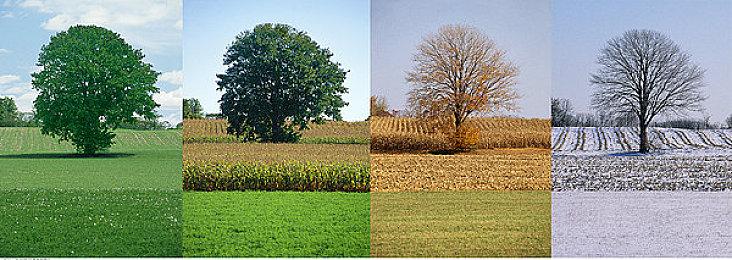 PlayStation 2024年年度总结工具现已上线