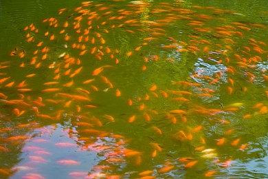 第三人称动作射击《Die After Sunset》上架Steam